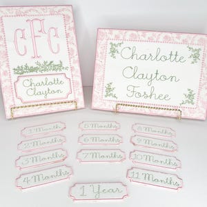 May include: Two pink and white embroidered name plaques with the name "Charlotte Clayton" and "Charlotte Clayton Foshee". Includes monthly milestone markers from 1 to 11 months and 1 year.