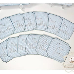 May include: A set of baby milestone cards with a blue and white gingham pattern. Each card is embroidered with a month or year, from "One Month" to "One Year". The cards have a decorative border.