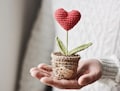 Personalized Mother's Day gift, crocheted heart figurine with message product logo