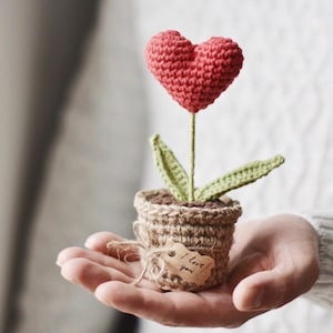 Personalized Valentine's Day gift, crocheted heart figurine with love message