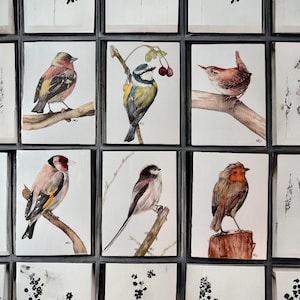 British Garden Bird series A6 art print - Watercolour