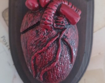 Anatomical Heart wall hanging