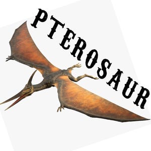 Pterosaur A4 Print
