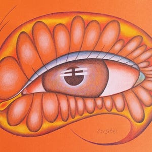 Vermireyussa_V1 - the eye of the mysterious orange beauty