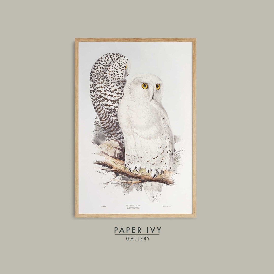 Vintage Farmhouse Decor Snowy Owl Decor for Home Owls Wall Art White