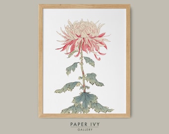 Vintage japansk blomtryck ukiyo e krysantemum konst väggdekor vintage utskrivbar för henne blomtryck