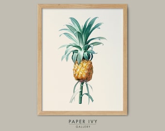 Vintage botanical pineapple print, Classic décor instant download, digitally restored printable plant art, timeless tropical artwork