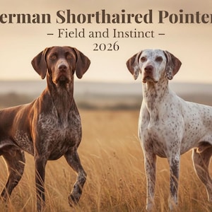 GSP Dog Photography Calendar | German Shorthaired Pointer Wall Decor