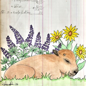 Puede incluir: Una ilustración dibujada a mano sobre papel de contabilidad que muestra un bisonte marrón claro durmiendo en hierba verde. Detrás del bisonte hay flores de lupino moradas y girasoles amarillos. El fondo contiene texto contable escrito a mano.