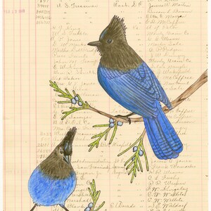 Puede incluir: Ilustración de dos pájaros azules y marrones posados en una rama con hojas verdes y bayas azules. Los pájaros están colocados sobre un fondo de papel de contabilidad envejecido con texto manuscrito y la palabra "Remittance" en la parte superior.