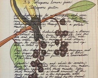 Chokecherry and Evening Grosbeak ledger art