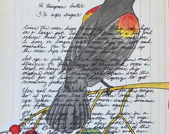 Rose Hip and Red-Winged Blackbird ledger art