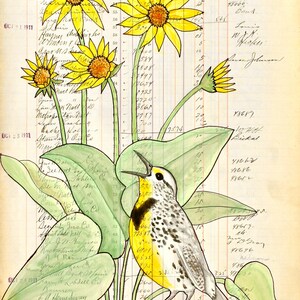 Pode incluir: Ilustração artística com girassóis amarelos e um pássaro cantando, em um fundo de um livro de registro antigo. A obra de arte incorpora folhas e caules verdes, com o texto "Register of Drafts Drawn on" visível.