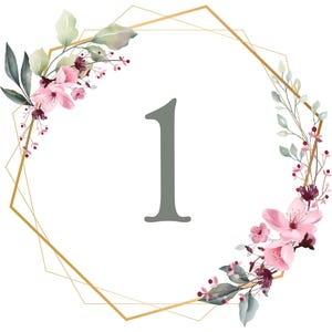 Op de afbeelding: Een gouden geometrisch frame met roze en groene bloemenaccenten omringt het nummer "1" in grijs.