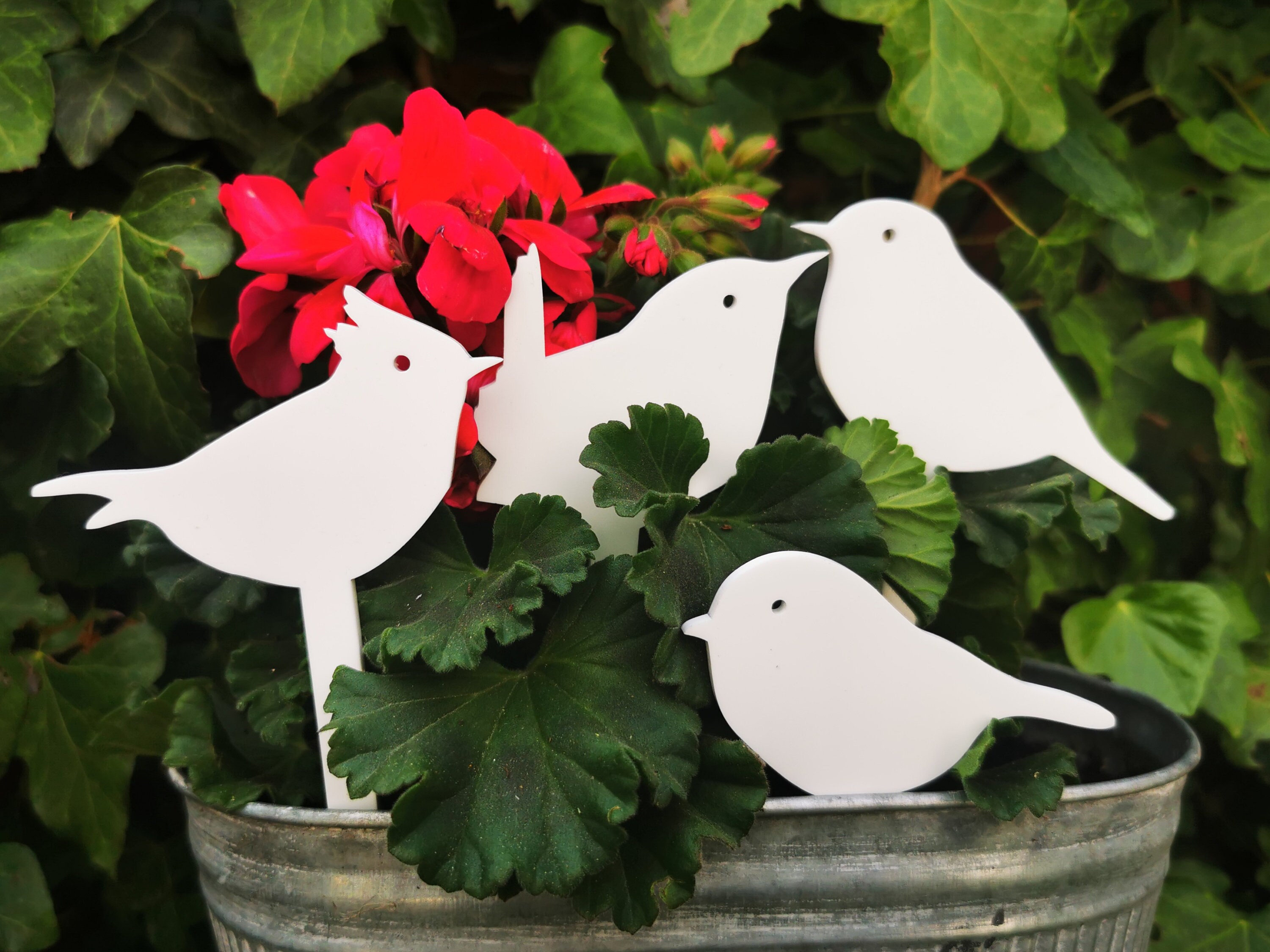 Garden Bird Decor British Bird Garden Ornament Robin Etsy UK