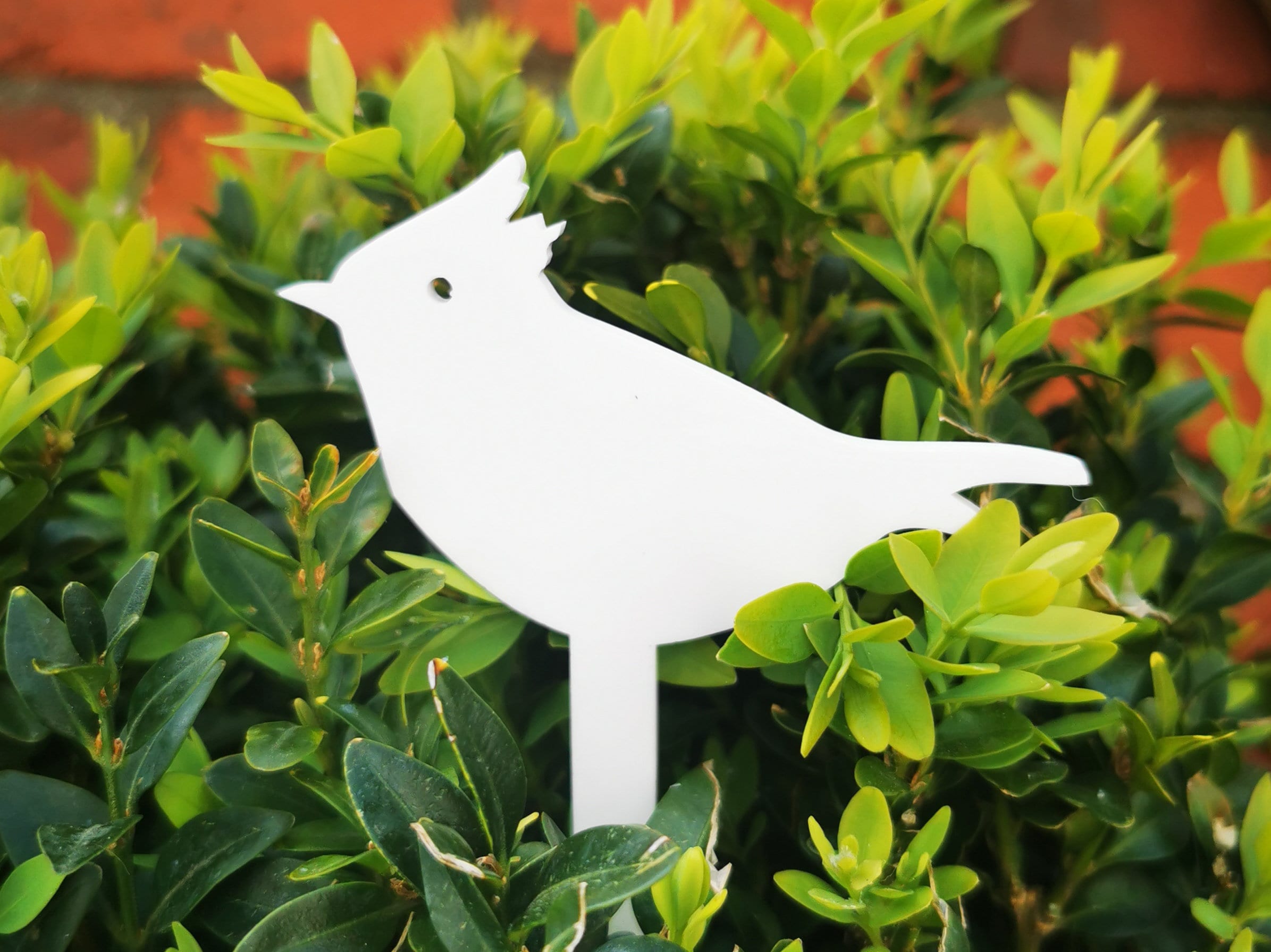 Garden Bird Decor British Bird Garden Ornament Robin Etsy UK