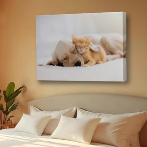 Animal Kingdom Decorative Canvas Painting, Animal Canvas Wall Decor, Wall Decor Gift for Nature Enthusiasts, Large Wall Art