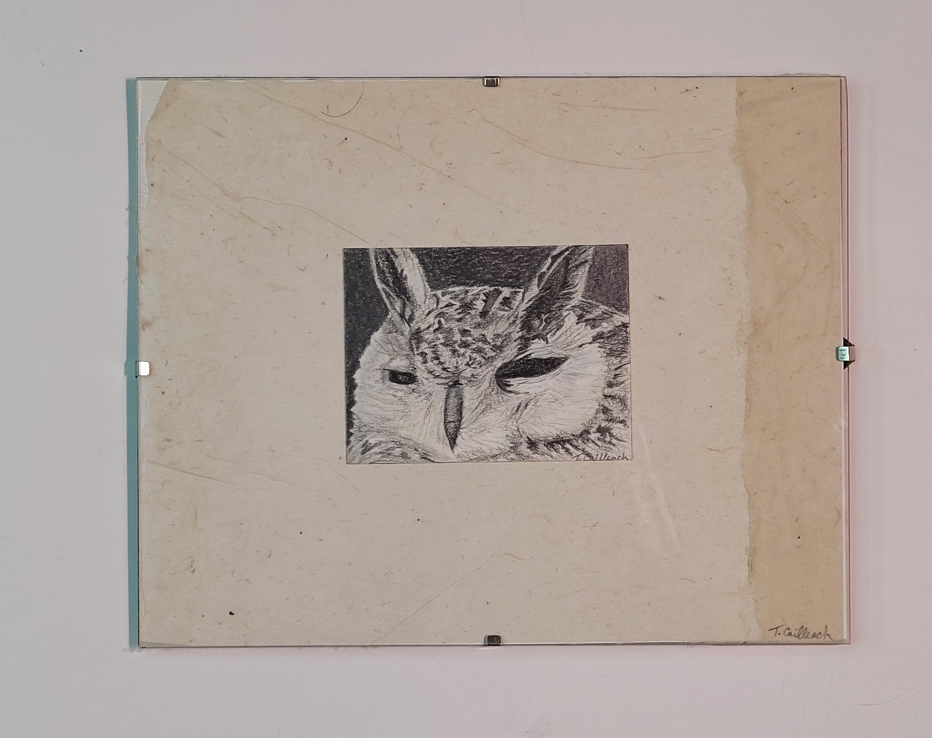 Great Horned Owl