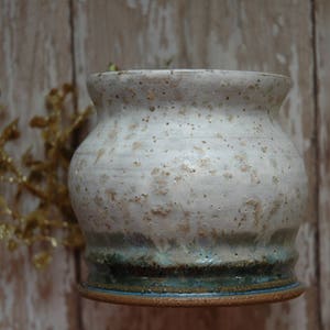 May include: A white ceramic planter with a speckled glaze and a blue and green rim. The planter is sitting on a wooden surface.