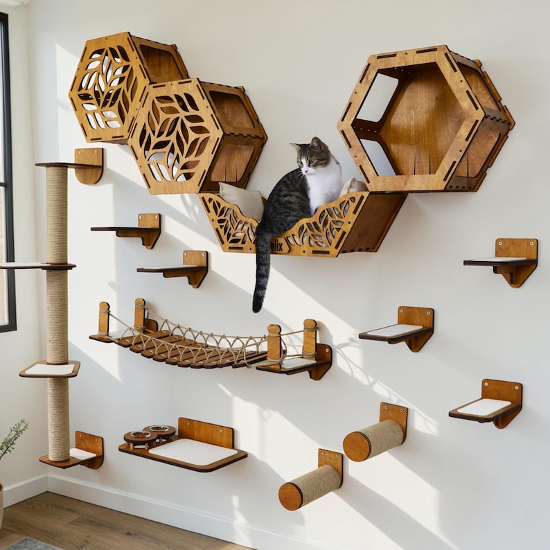 Puede incluir: Un sistema de estanter&iacute;as de madera para gatos, que incluye estantes hexagonales, un puente de cuerda, postes para rascar y peque&ntilde;as plataformas. Un gato est&aacute; sentado en uno de los estantes. El sistema est&aacute; fijado a una pared blanca.