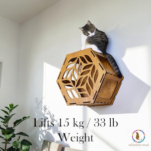 Puede incluir: Estante de madera hexagonal para gatos con cortes decorativos en forma de hojas. Un gato est&aacute; posado en el estante. La imagen incluye el texto "Lifts 15 kg / 33 lb Weight".