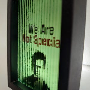May include: A framed artwork with a black border. The artwork features a green background with vertical lines and the text "We Are Not Special" in black and red. A black and white silhouette of a person is visible.
