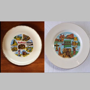 Vintage New Mexico NM Souvenir State Plate Landmarks Decorative Collector Travel Vacation Retro Wall Decor Gift