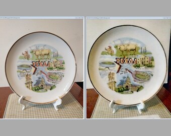 Vintage Texas Souvenir State Plate TX Landmarks Decorative Collector Travel Vacation Retro Wall Decor Gift