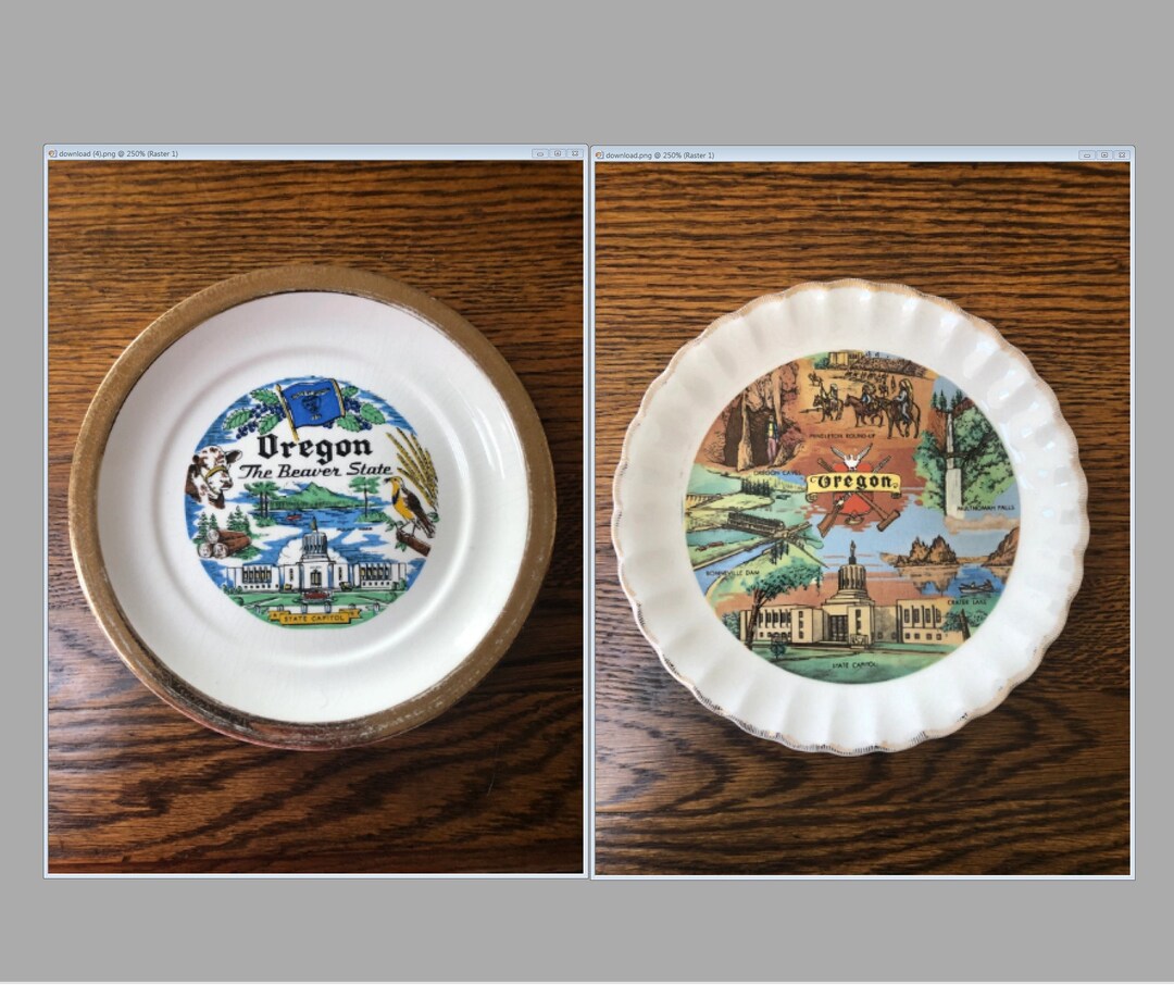 Vintage Oregon Souvenir State Plate Small Decorative Collector Etsy UK
