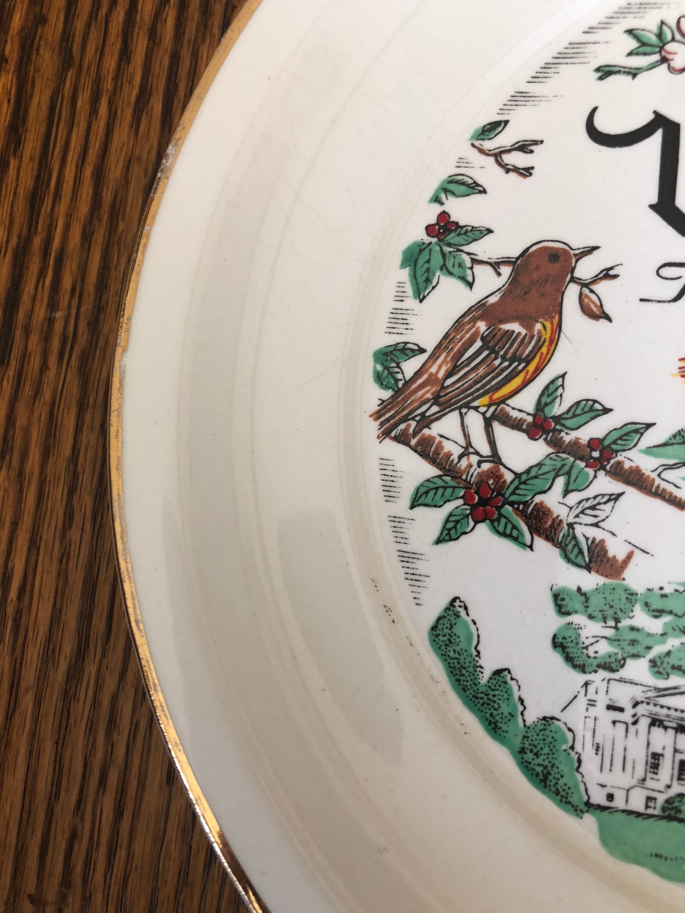 Vintage Virginia Souvenir State Plate Virginia Landmarks Sabine