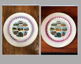 Vintage South Dakota Souvenir State Plate Large Decorative Collector SD Landmarks Travel Vacation Retro Wall Decor Gift