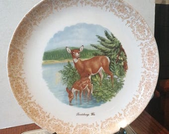 Vintage Reedsburg Wisconsin City Plate Collectible Decorative Travel Gift