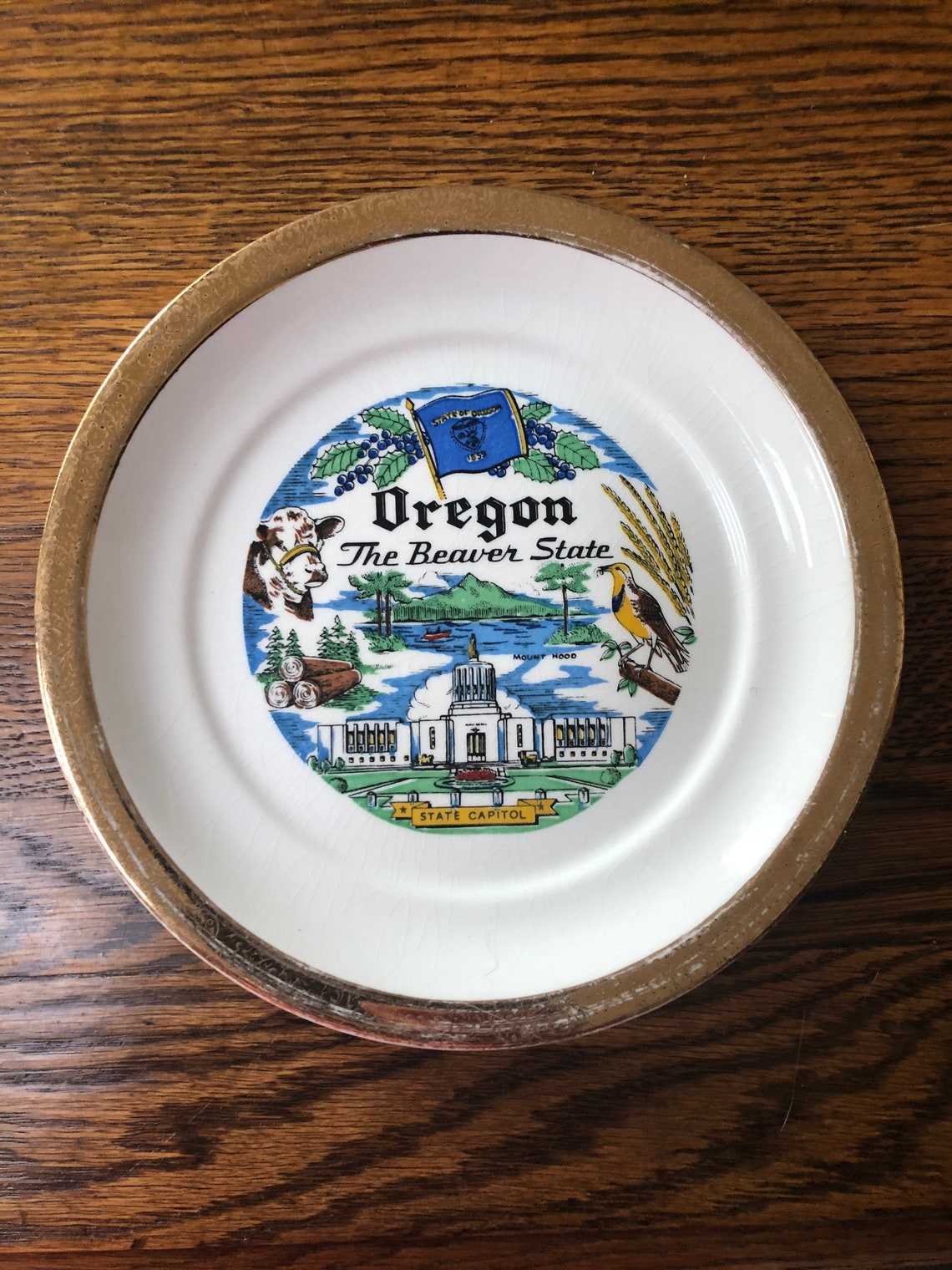 Oregon Souvenir State Plate Small Decorative Collector Etsy