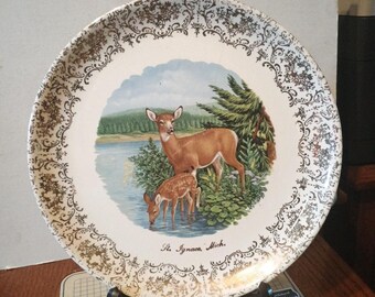 St Ignace Michigan Souvenir City Plate MI Landmarks Decorative Collector Travel Vacation Gift