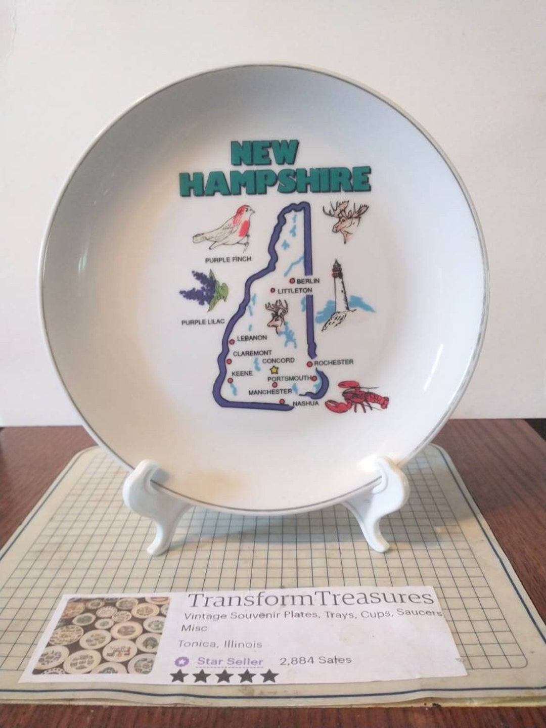 Vintage New Hampshire Souvenir State Plate Decorative Collector Retro
