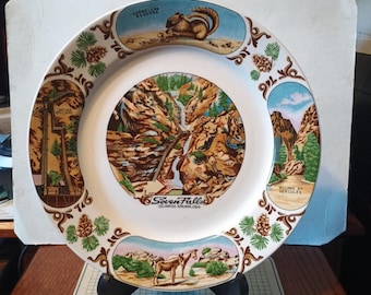 Vintage Seven Falls Colorado Plate CO Landmarks Decorative Collector Collectible Travel Gift