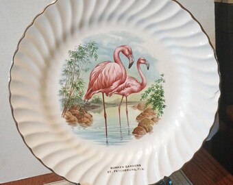 Vintage Sunken Gardens St Petersburg Florida Souvenir Plate FL Flamingos Decorative Collector Travel Vacation Gift