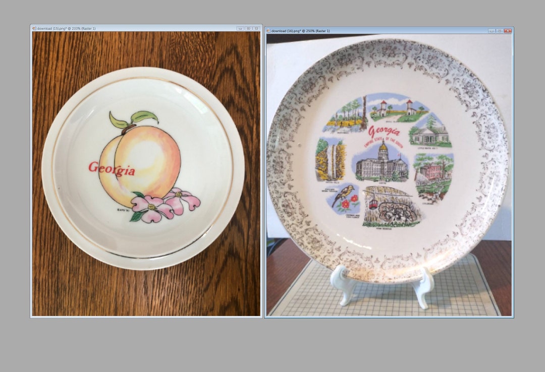 Vintage Peach Souvenir State Plate Decorative Etsy