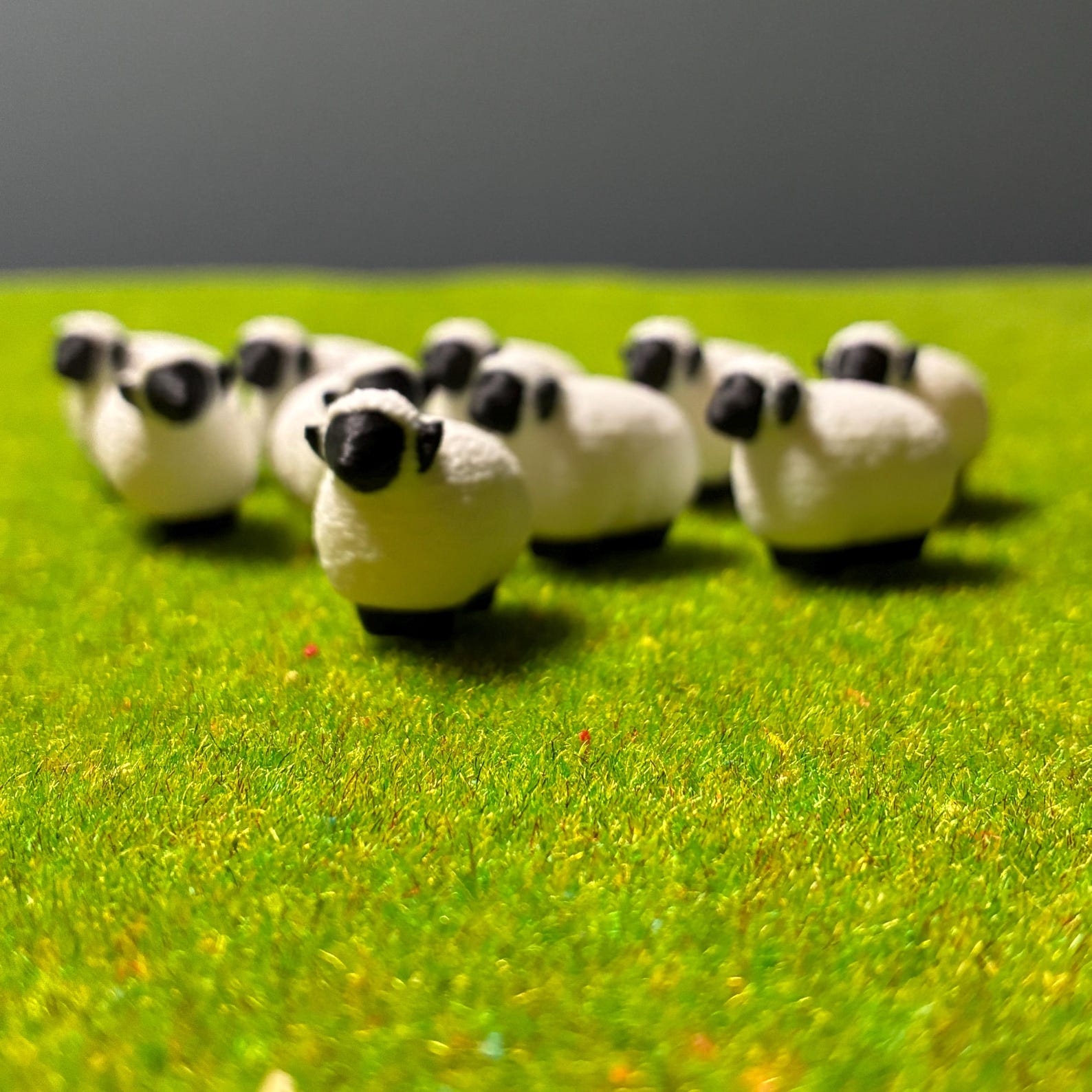 Sheep Tokens (Set of 10) — photo 2
