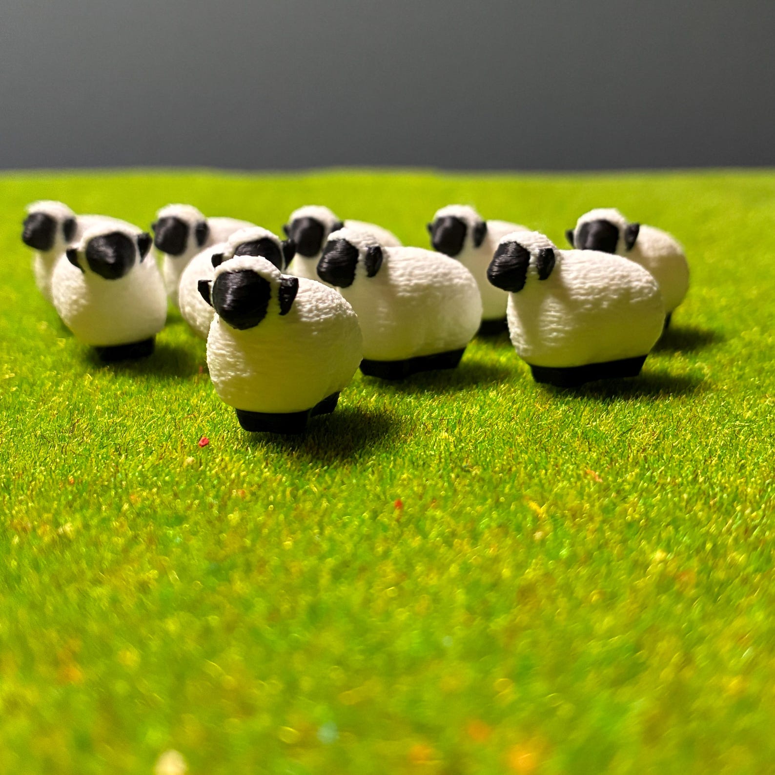 Catan Resource Tokens — photo 3