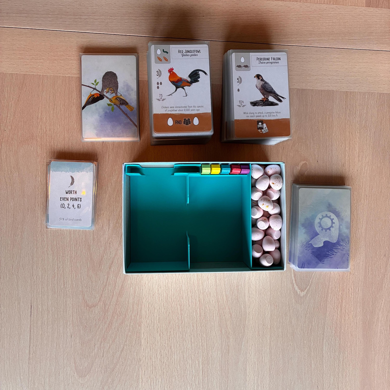 Wingspan Pocket Insert — Sleeved Cards Version — photo 5