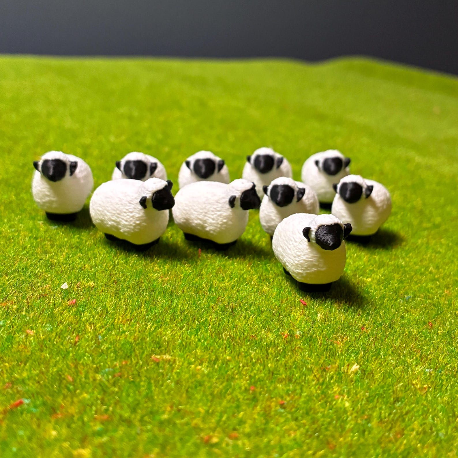 Sheep Tokens (Set of 10) — photo 3