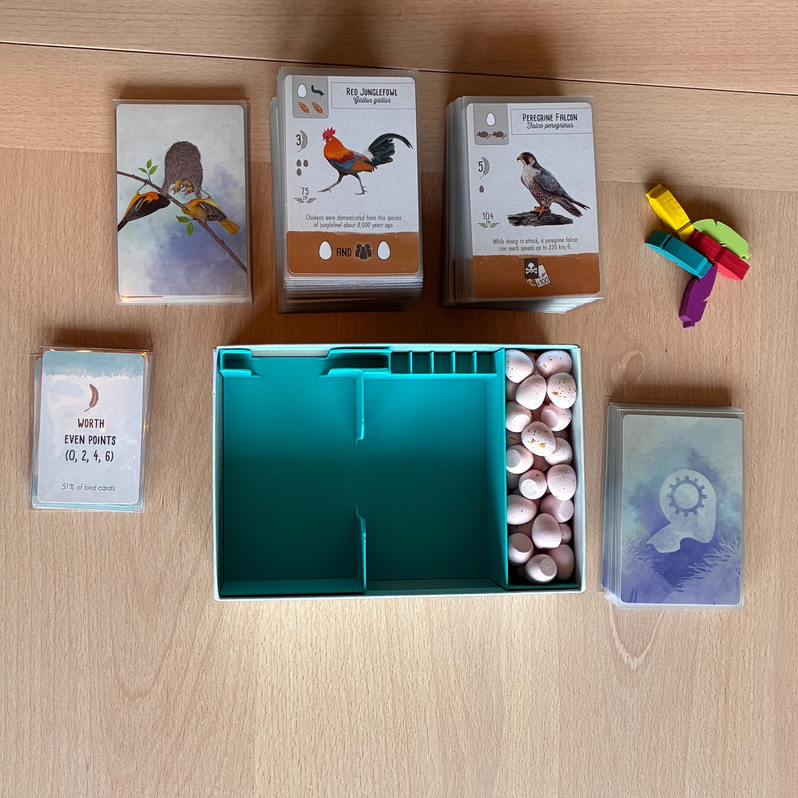 Wingspan Pocket Insert — Sleeved Cards Version — photo 6