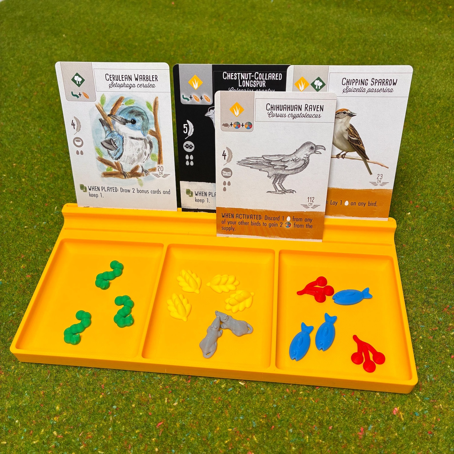 Universal Player Tray & Card Holder
