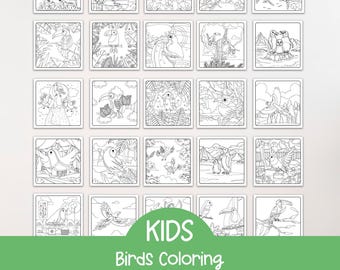 Bird Coloring Pages book, Kids Learning worksheets bundle