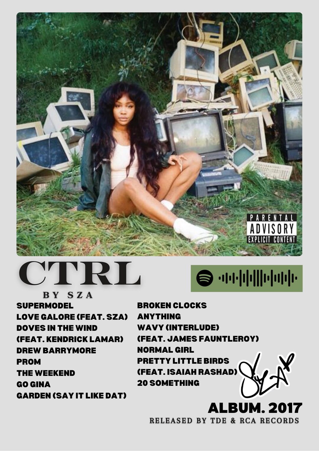 SZA CTRL Album Poster – Custom Printable Wall Art, Hip Hop Music Decor ...