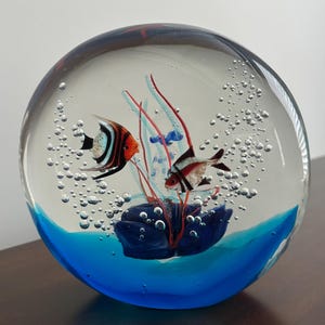 Murano Fish Aquarium Signed - Etsy