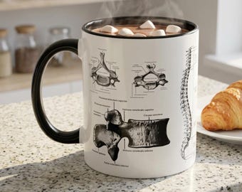 Spine Anatomy Mug | Chiropractor Gift | Medical Coffee Cup for Doctors, Surgeons & Physical Therapists