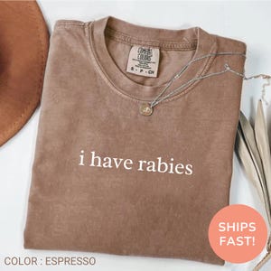 Comfort Colors® I Have Rabies Shirt, Funny Humor Shirt, Sarcasm Shirt, Unhinged Meme Shirt, Weird Dark Humor Shirt, Sarcastic Womens Tshirt