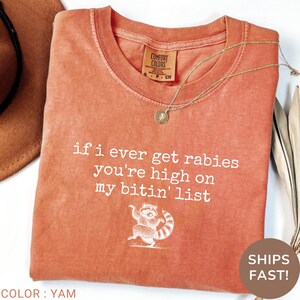 Gift Idea for Raccoon Fan, Vintage Sassy Shirt, Fun Quote T-Shirt, Funny Animal Humor Top, Cool Wildlife Tee, Unique Humor Gift Shirt, Raccoon Design Comfort Colors, Animal Comfort Colors Tee, Fun Comfort Colors Graphic, Graphic Tee Humor Saying, Animal Comfort Colors Clothing, Funny Raccoon Drawing Tee, Comfort Colors T-Shirt Humor, Animal Comfort Colors Top, Cool Funny Graphic Shirt, Wildlife Humor Graphic, Funny Comfort Colors Apparel, Cute Funny Comfort Colors Top